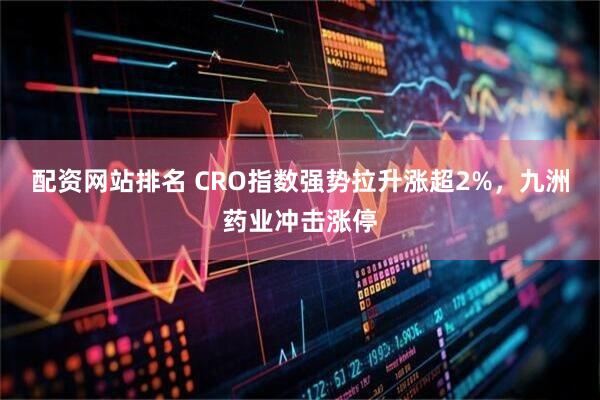 配资网站排名 CRO指数强势拉升涨超2%，九洲药业冲击涨停