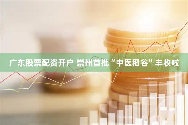 广东股票配资开户 崇州首批“中医稻谷”丰收啦